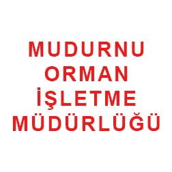 Mudurnu Orman İşletme Müdürlüğü